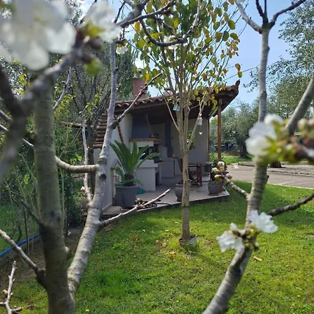 Vasiliki's House , 27054 , Ilias Zacharo