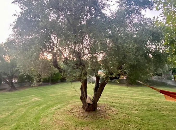 Vasiliki's House , 27054 , Ilias דירה זכארו