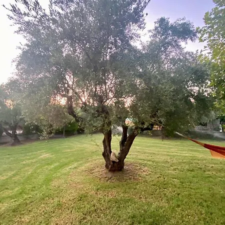 Vasiliki's House , 27054 , Ilias Апартаменты Захаро