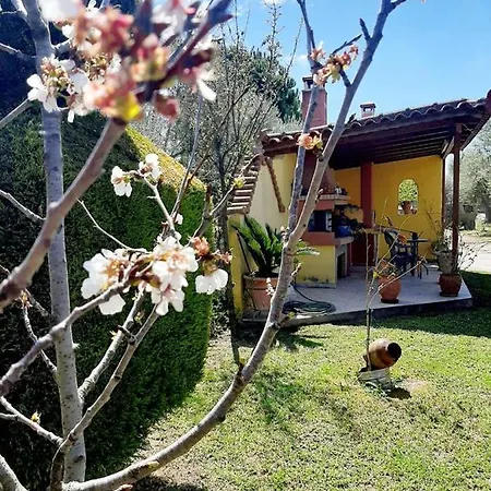 Apartment Vasiliki's House , 27054 , Ilias Zacharo