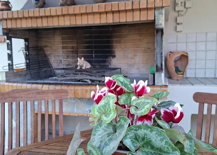 Vasiliki's House , 27054 , Ilias Διαμέρισμα